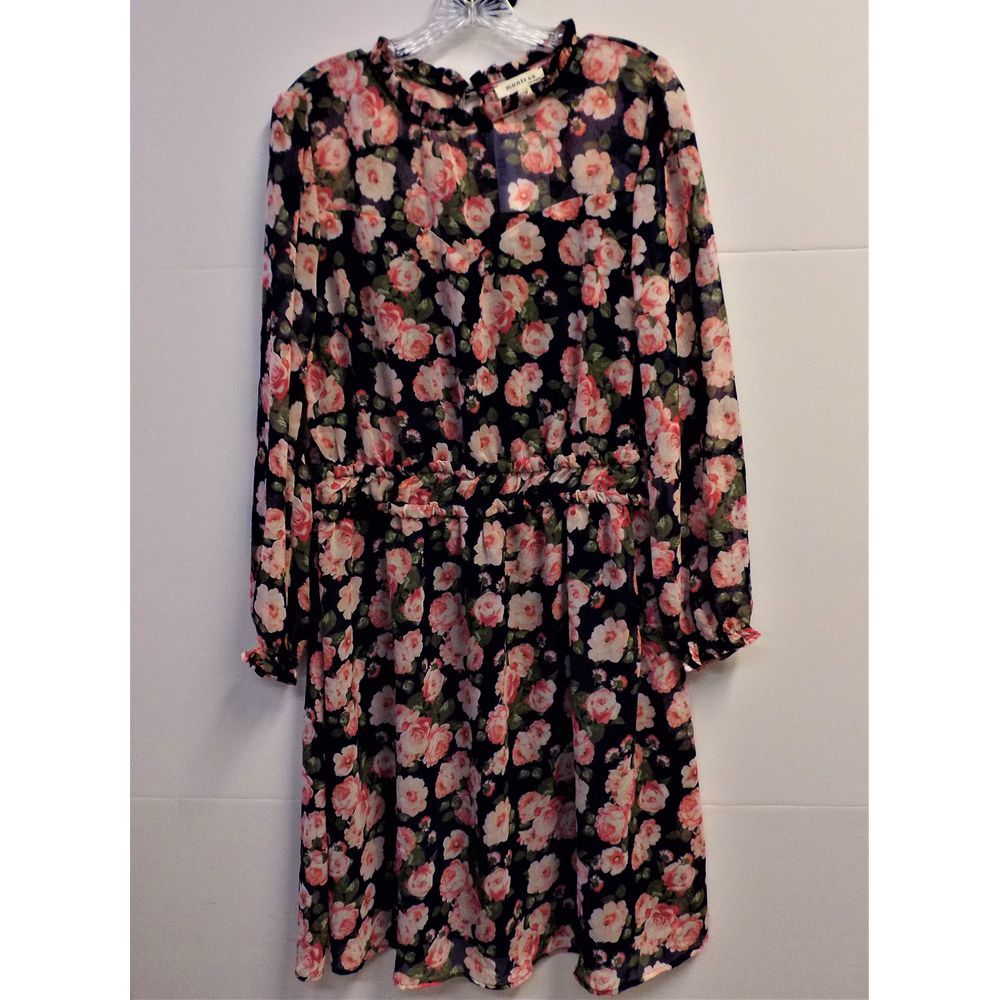 NWT Sheer Lined Navy Rose Garden Floral Dress